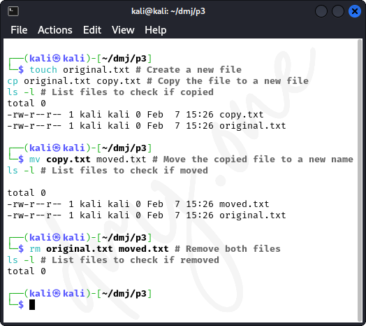 Copying and Moving Files