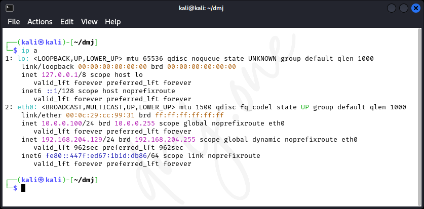 Output of ip a command